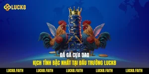 Đá Gà Cựa Dao