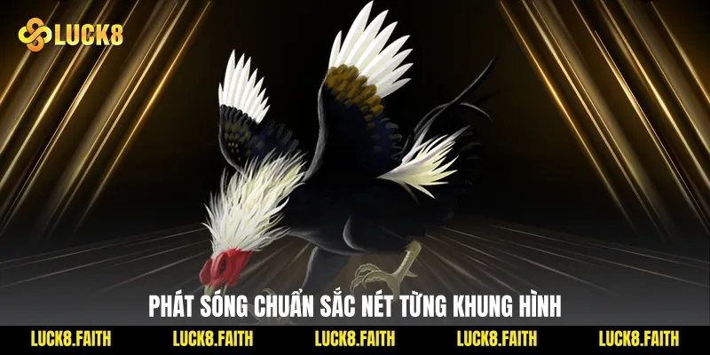 Phát sóng chuẩn sắc nét từng khung hình